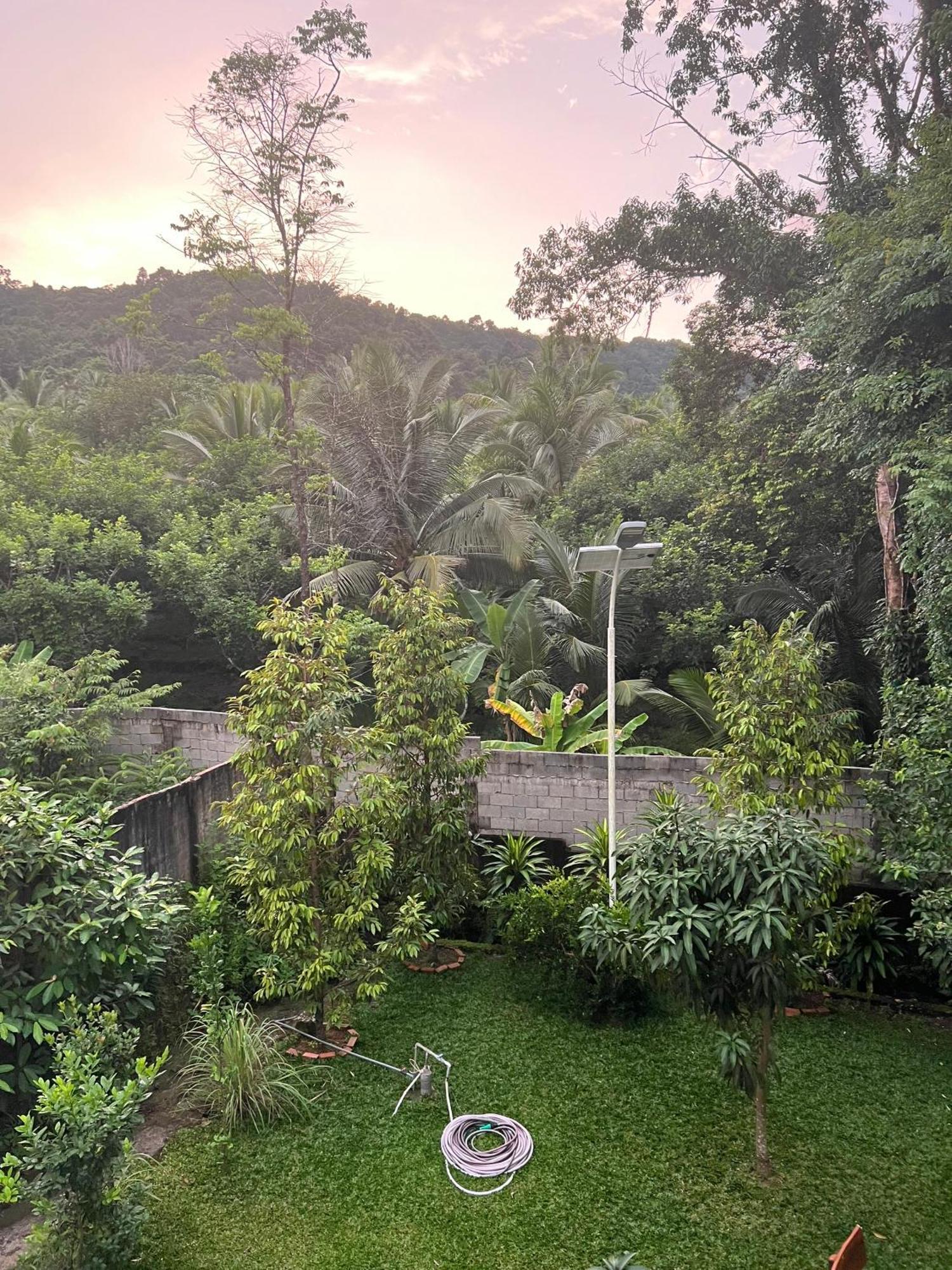 Bungalow Sang Tuoi Mountains Фукуок Екстер'єр фото